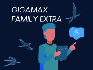 Flynet Gigamax Family Extra