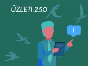 Flynet üzleti 250