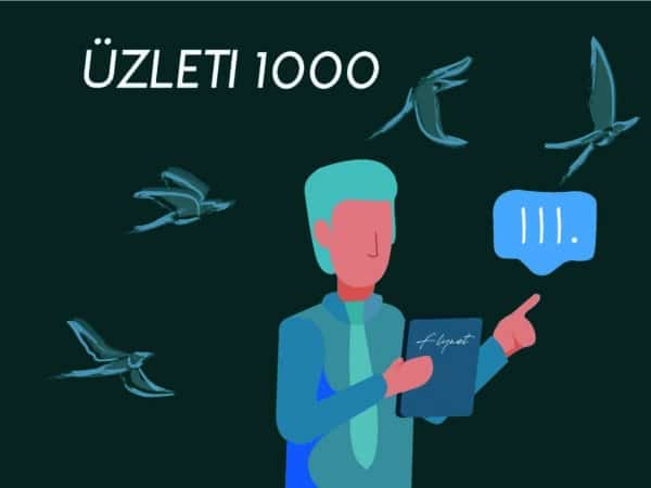 Flynet üzleti 1000